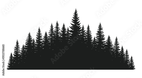 A dense grouping of coniferous trees forms a striking dark shape against a bright background silhouette high quality