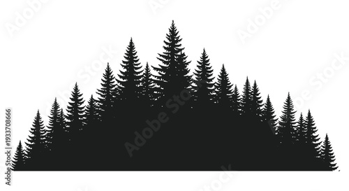A striking black and white composition of dense coniferous trees against a bright background silhouette high quality professional
