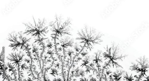 Delicate frost crystals forming on dry plant stems against a bright white background, evoking winter's artistry.