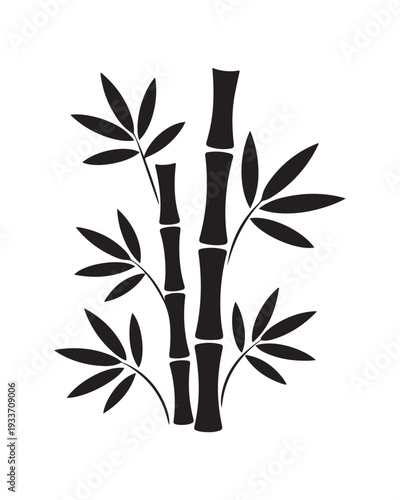 A black and white of a bamboo plant featuring detailed leaves and segmented stems, presented in a clean and minimalist style