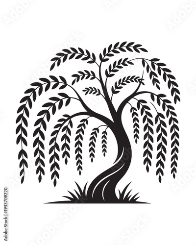A detailed black and white of a weeping willow tree with intricate leaves and a grassy base. The tree has a symmetrical, form with curved branches and a defined trunk
