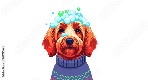 Cute Dog With Shampoo Bubbles on Head Wearing Sweater, Isolated on White Background