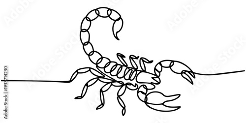 one continuous line drawing of a desert scorpion arachnid for a wildlife and zodiac concept vector contour lineart