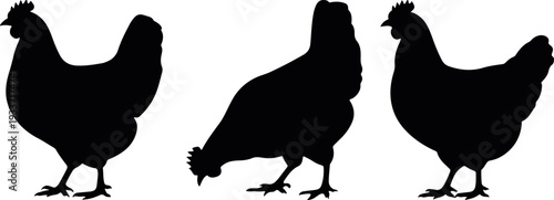 chicken silhouette farm poultry set vector, hen and rooster black bird collection, domestic fowl standing icon pack