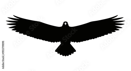 Silhouette of a soaring eagle with outstretched wings against a white background.