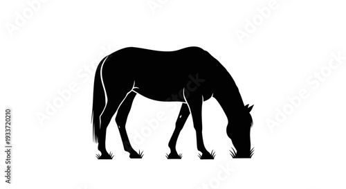 Black silhouette of a horse grazing in a field on a white background.