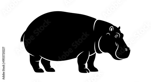 Black Silhouette of a Hippopotamus on a White Background