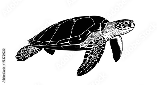 Black and White Illustration of a Sea Turtle Swimming