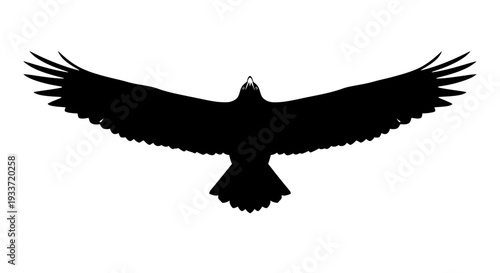 Silhouette of a soaring eagle with wings spread wide, isolated on white