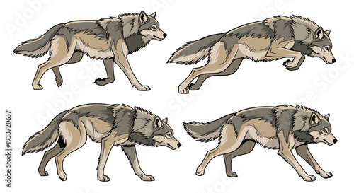 Dynamic four-step animation sequence of a wolf running and jumping, showing realistic movement and detailed fur texture.