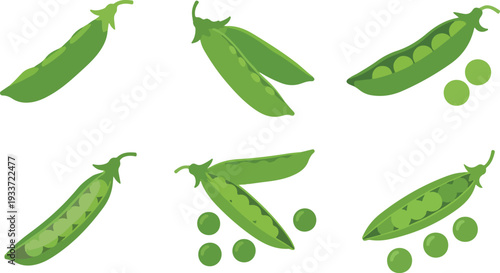 Vibrant green peas and pea pods in various stages, perfect for healthy food concepts and culinary designs