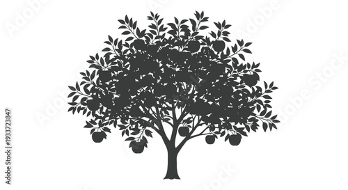 A striking black silhouette of a fruit tree laden with apples against a white background silhouette high quality