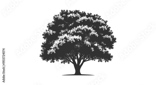 A striking black silhouette of a full leafy tree against a bright white background silhouette high quality professional