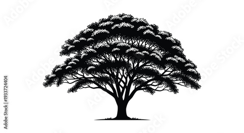 A detailed black silhouette of a large leafy tree with a full canopy silhouette high quality professional modern
