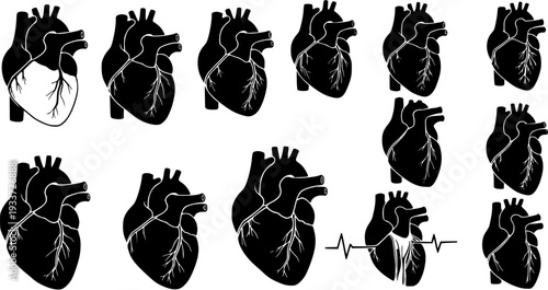Set of black and white human heart icons, medical anatomy silhouettes with one showing internal details and another with an ECG heartbeat line