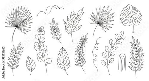 Collection of hand-drawn botanical illustrations of various leaves and plants.
