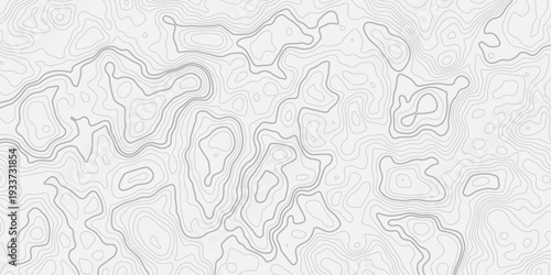 Seamless Topography Grid Map Design with Subtle Depth Variation
Flowing Elevation Line Pattern for Interior and Print Applications