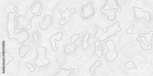 Minimal Linear Terrain Contour Illustration with Refined Detail
Mountain Relief Seamless Background for Creative Studio Projects