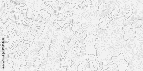 Seamless Topographic Terrain Map with Natural Flowing Elevation Lines
Contemporary Geographic Grid Texture for Creative Graphic Applications