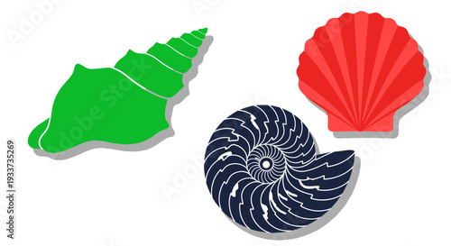 Collection of Colorful Seashells and Nautilus Shell Illustration