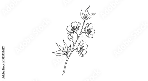 Delicate Cherry Blossom Branch Line Art - Minimalist Floral Illustration