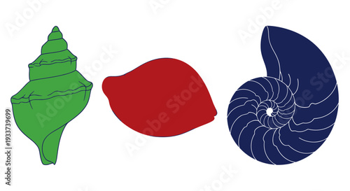 Three stylized seashells: green spiral, red abstract shape, and blue nautilus