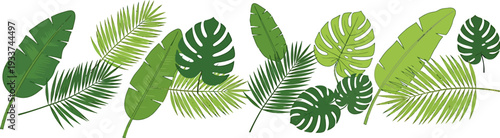 Vibrant Tropical Leaves Border Design, Exotic Foliage Vector Illustration on White Background