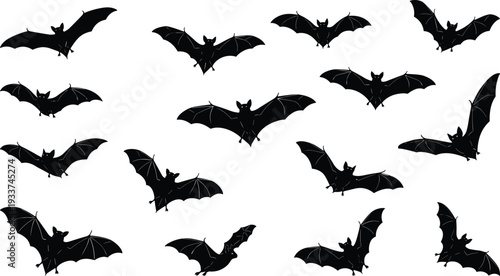 Bat silhouettes collection isolated on white background, flying nocturnal mammal vector set in various wing positions, black spooky wildlife illustration for Halloween design.