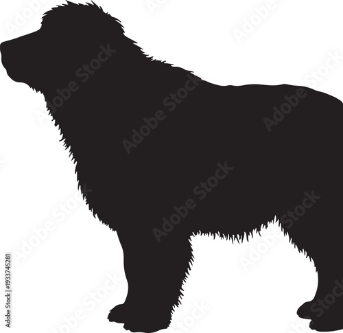 Majestic Newfoundland Dog Silhouette Profile on White Background