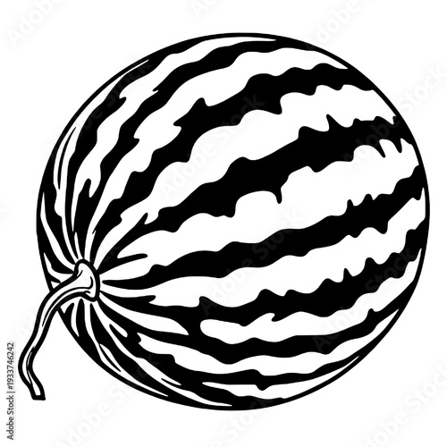 Watermelon fruit silhouette vector design