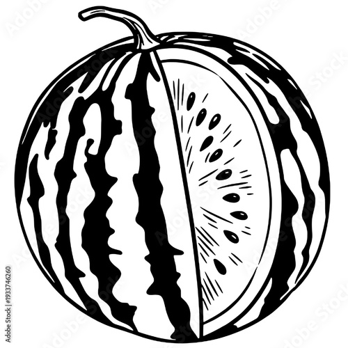 Watermelon fruit silhouette vector design