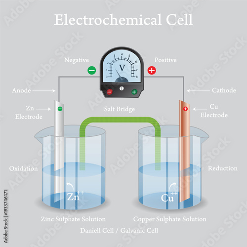 Electrochemical Cell Diagram Showing Daniell Galvanic Cell with Zinc and Copper Electrodes Salt Bridge Voltmeter Oxidation and Reduction Reactions.