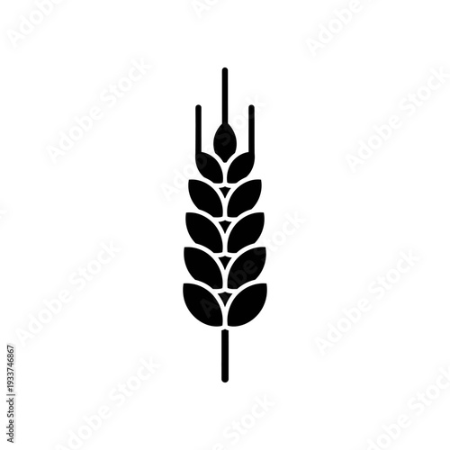 Minimalist wheat stalk graphic with clean lines, ideal for agriculture, harvest, or organic design projects.