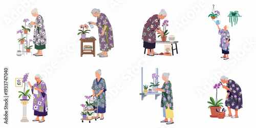Elderly woman enjoying her orchid gardening hobby at home, caring for various houseplants with dedication and a peaceful demeanor.
