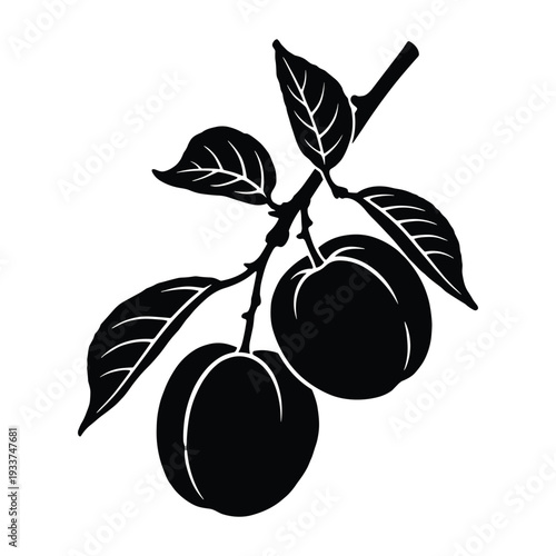 Two ripe plums hanging on branch with leaves black silhouette fruit illustration