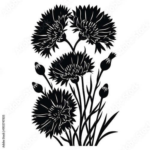 Black silhouette of cornflowers on transparent background, vector illustration
