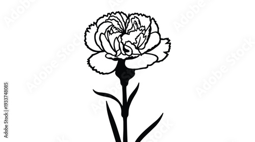 Black outline carnation flower isolated on transparent background, simple design