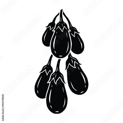 Bunch of dark eggplants hanging from a stem on transparent background, illustration