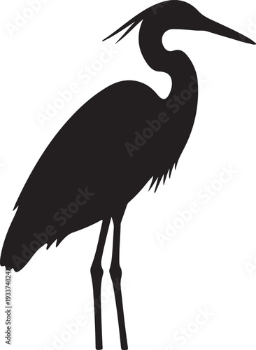 Egret Silhouette