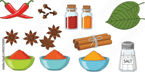 Collection of colorful spices and herbs including chili, cinnamon, star anise and salt, flat vector illustration isolated on white background