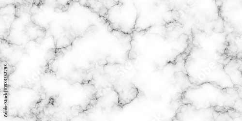 Texture ceramic white and black background rock closeup limestone marble glossy wall, floor tiles slab natural surface limestone marble texture. granite luxury stone smooth polish rough texture.