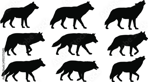 Silhouettes Set of Professional Photographer Equipment, Video Production Gear, Superhero Kids, Martial Arts Poses, Princesses, Musicians, and Creative Career Character Icons.