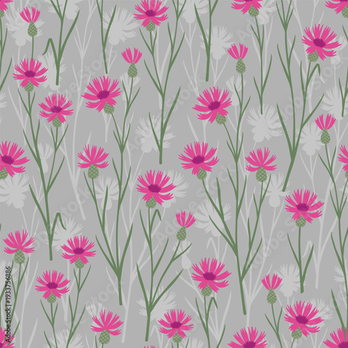 Seamless pink cornflower pattern with slender green stems on light grey background, minimal meadow hand drawn botanical illustration for textile wallpaper and surface design.