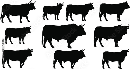 Collection of black bull silhouettes in varied postures with horns and tails, ideal for livestock, farming, ranching, wildlife, and design projects