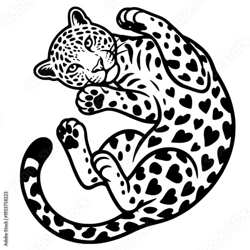Photography Silhouette of a wild cat
