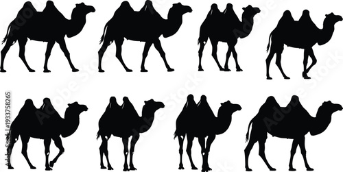 Silhouette camels with two humps in walking poses, black animal figures arranged in grid, desert wildlife illustration for design, pattern recognition, and educational use