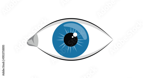 Detailed illustration of a human blue eye with light reflections isolated on a white background for medical or design use.