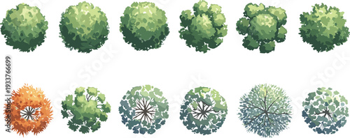 Vector collection of architectural landscape design tree symbols from top view for garden planning park layout master site map and outdoor greenery project.
