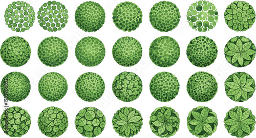 Vector collection of architectural landscape design tree symbols from top view for garden planning park layout master site map and outdoor greenery project.