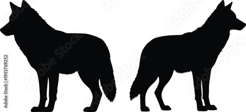 Two black wolf silhouettes standing side by side, showcasing their powerful profiles against a white background.